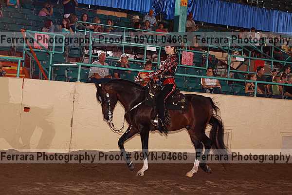Proof 09yn-04665