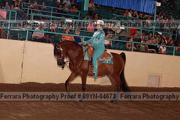 Proof 09yn-04673