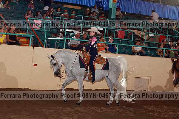 Proof 09yn-04675
