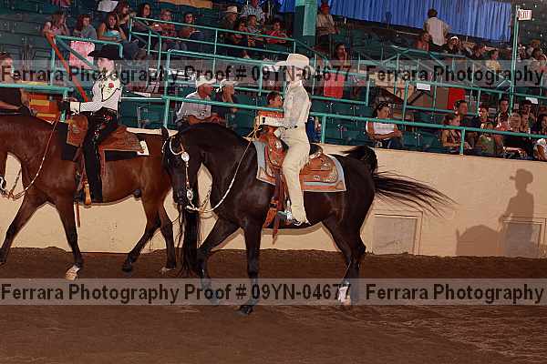 Proof 09yn-04677
