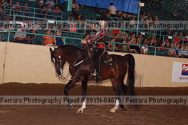 Proof 09yn-04679