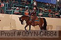 09yn-04684 proof