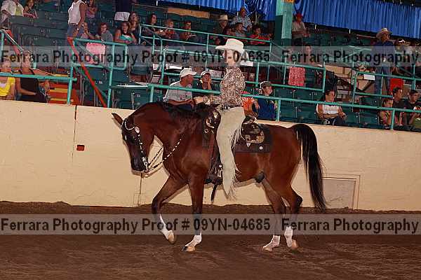 Proof 09yn-04685