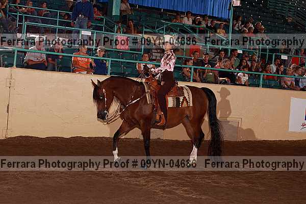 Proof 09yn-04686