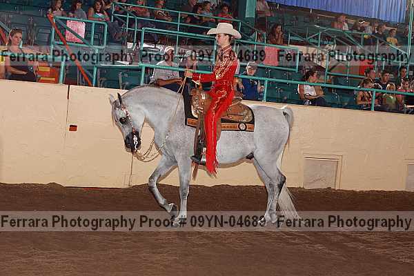 Proof 09yn-04689