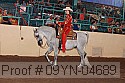 09yn-04689 proof