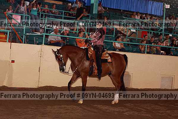Proof 09yn-04693