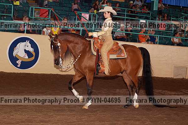 Proof 09yn-04695
