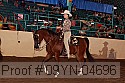09yn-04696 proof