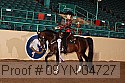 09yn-04727 proof