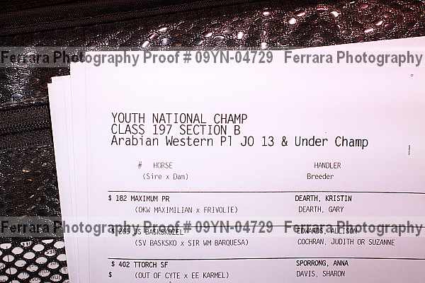 Proof 09yn-04729