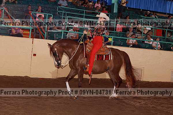 Proof 09yn-04731