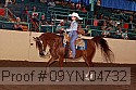 09yn-04732 proof