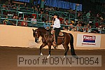 09yn-10854 proof