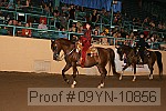 09yn-10856 proof