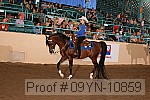 09yn-10859 proof