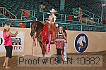 09yn-10882 proof