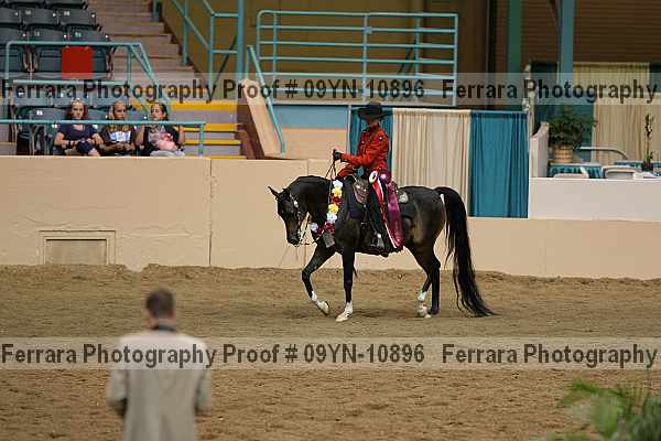 Proof 09yn-10896