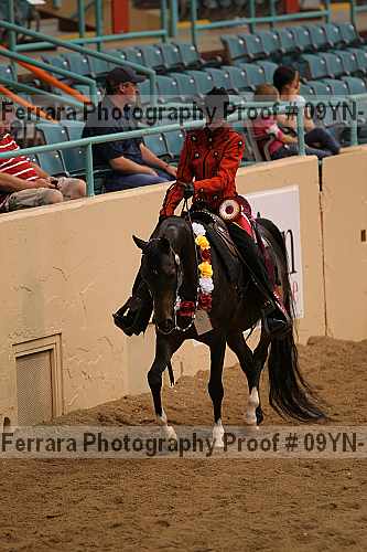 Proof 09yn-10903