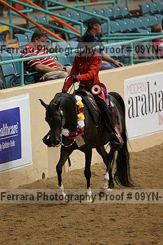 Proof 09yn-10904