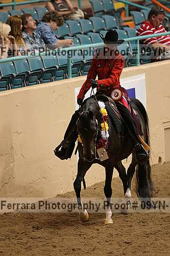 Proof 09yn-10906