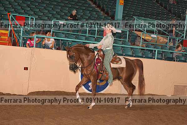 Proof 09yn-10917