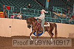 09yn-10917 proof