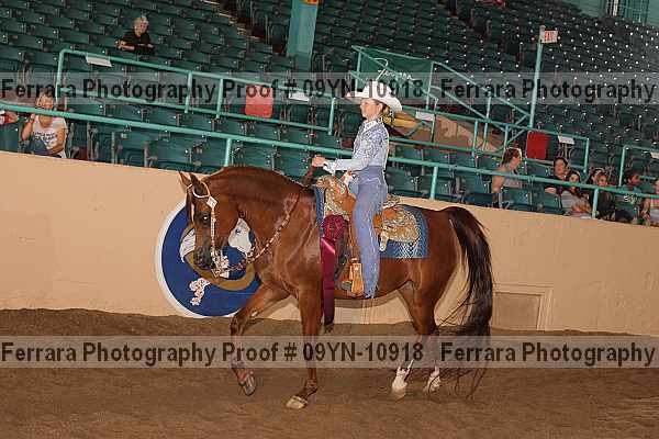 Proof 09yn-10918