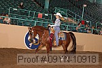 09yn-10918 proof