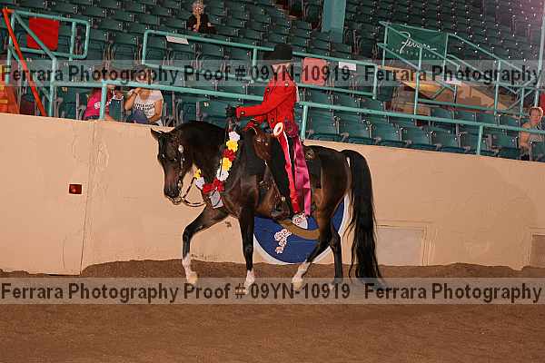 Proof 09yn-10919