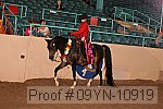 09yn-10919 proof