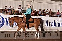 09yn-00919 proof