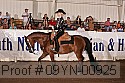 09yn-00925 proof