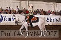 09yn-00927 proof