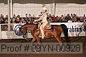 09yn-00928 proof