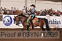 09yn-00939 proof
