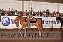09yn-00973 proof