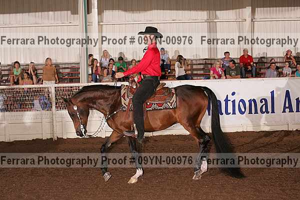 Proof 09yn-00976