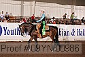 09yn-00986 proof