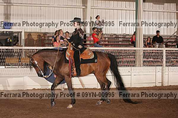 Proof 09yn-00995