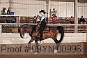 09yn-00996 proof
