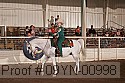 09yn-00998 proof