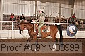 09yn-00999 proof