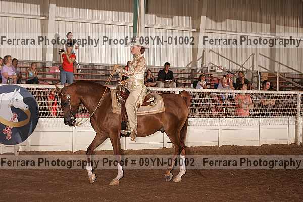 Proof 09yn-01002