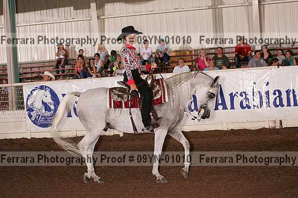 Proof 09yn-01010