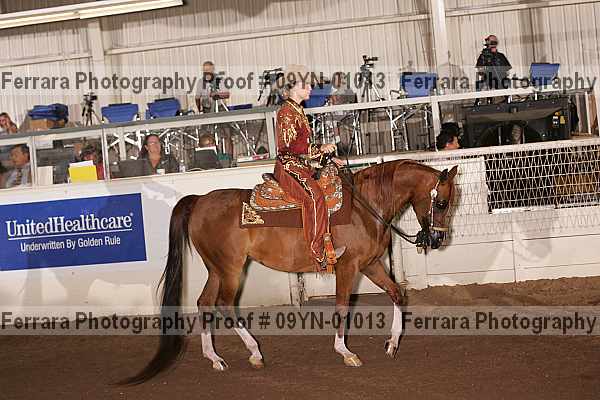 Proof 09yn-01013