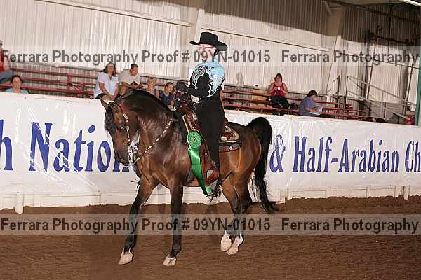 Proof 09yn-01015