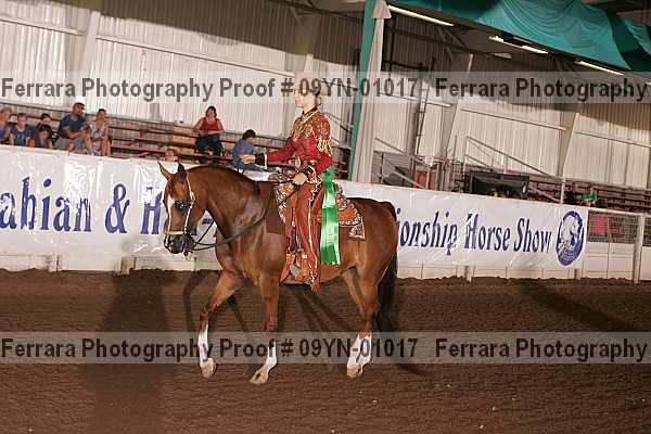 Proof 09yn-01017