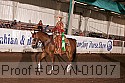 09yn-01017 proof