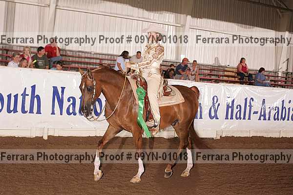 Proof 09yn-01018